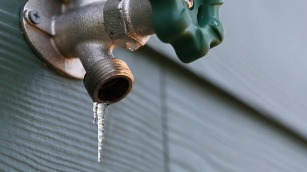 Best Plumbing Inspection Services  in Fussels Corner, FL